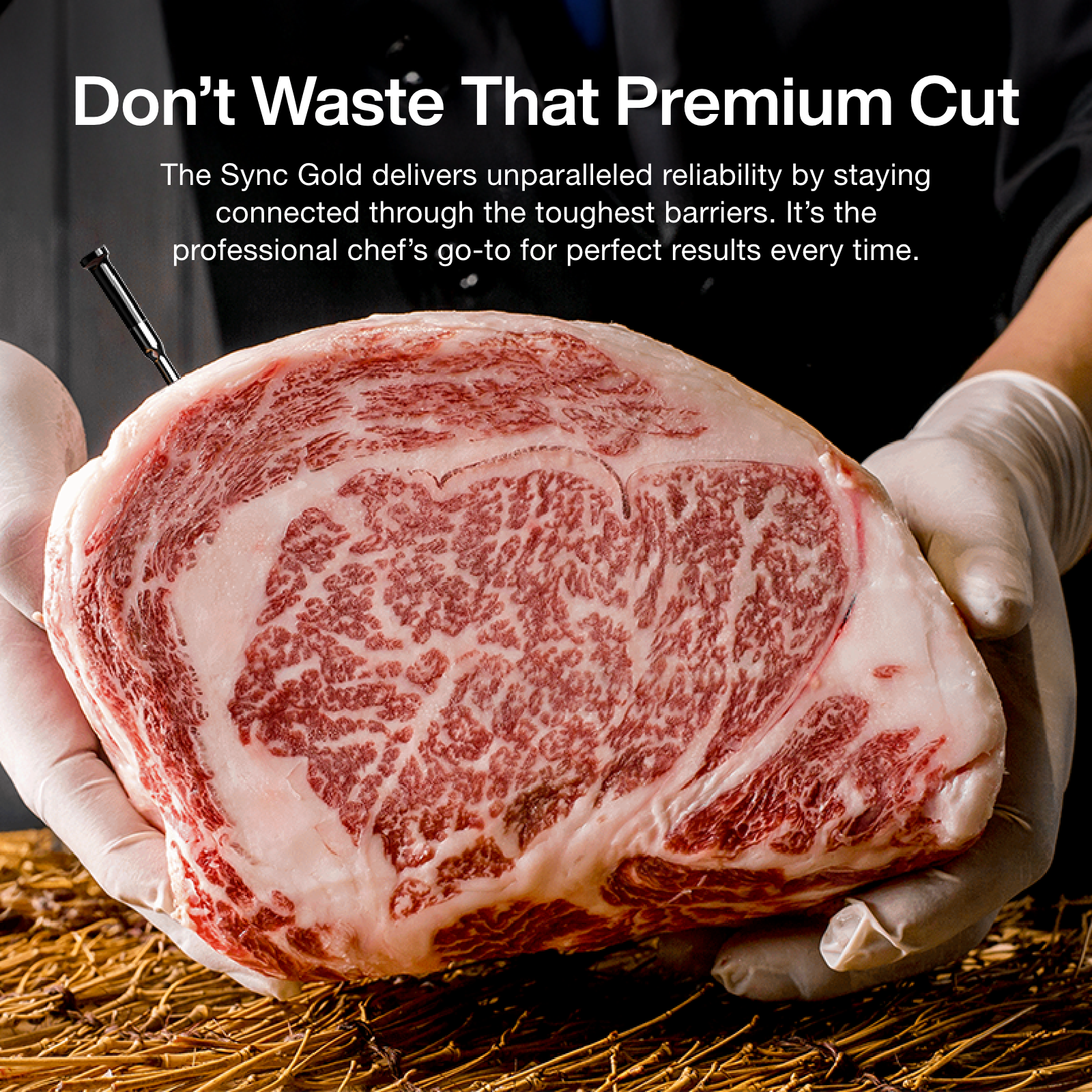 Typhur Sync Gold Dual