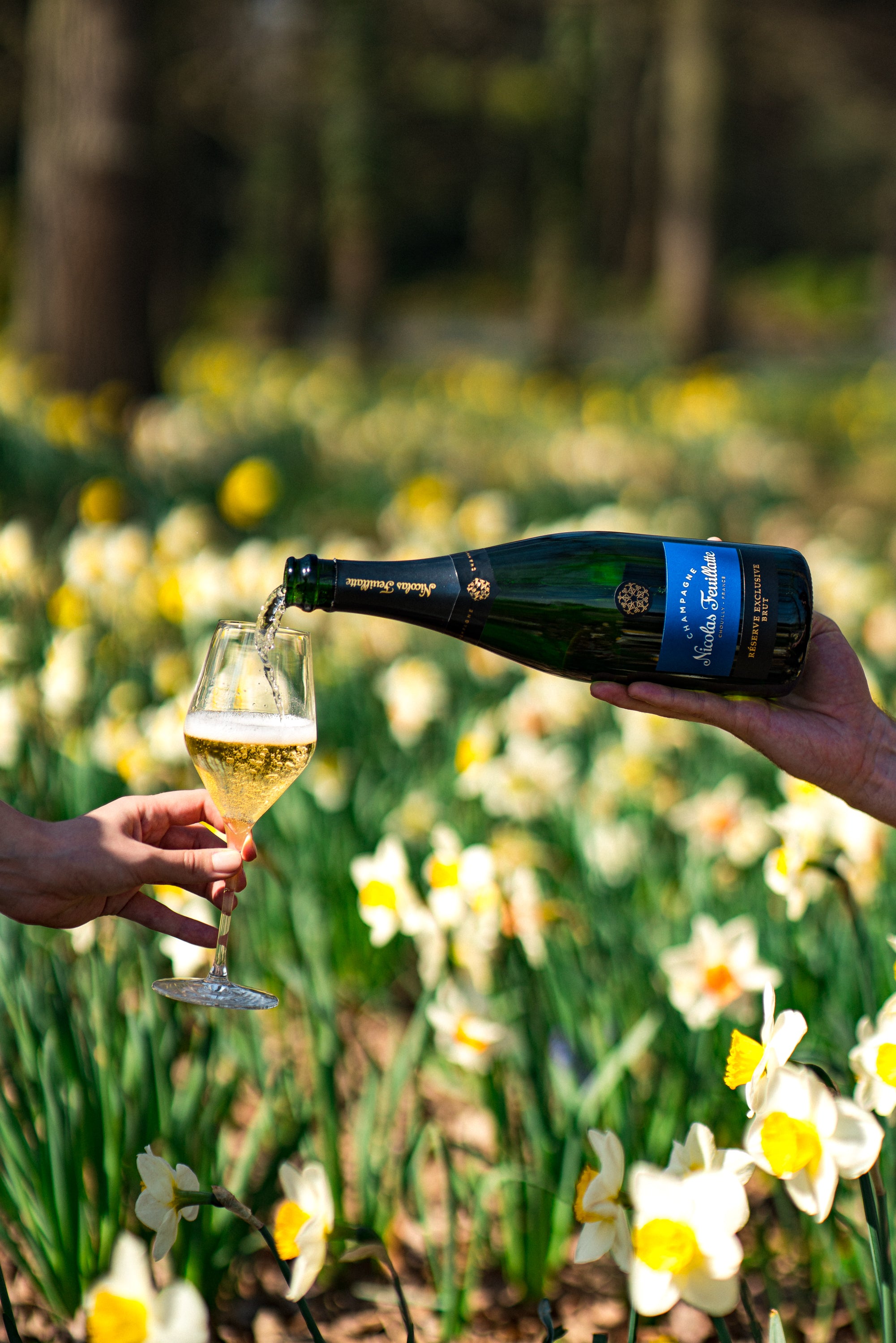 Nicolas Feuillatte Réserve Exclusive Brut