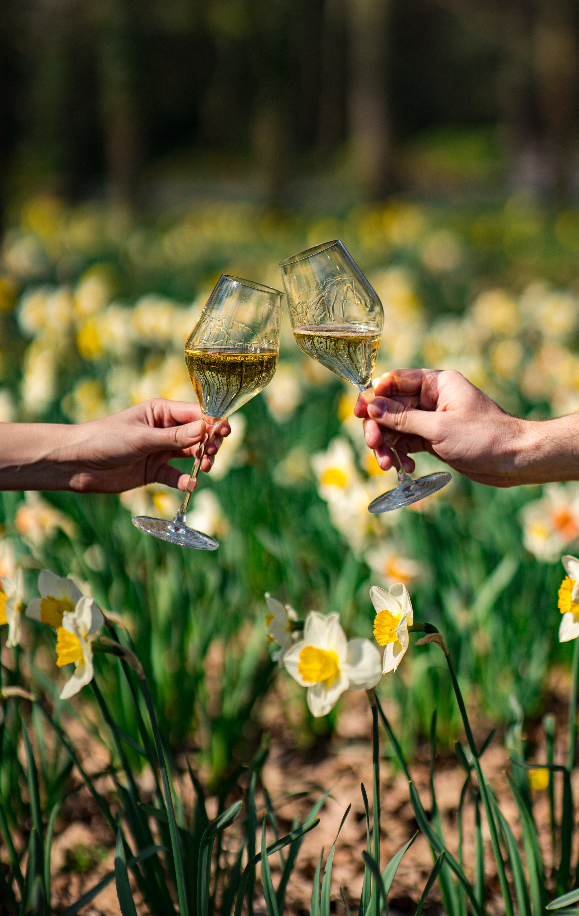 Nicolas Feuillatte Réserve Exclusive Brut