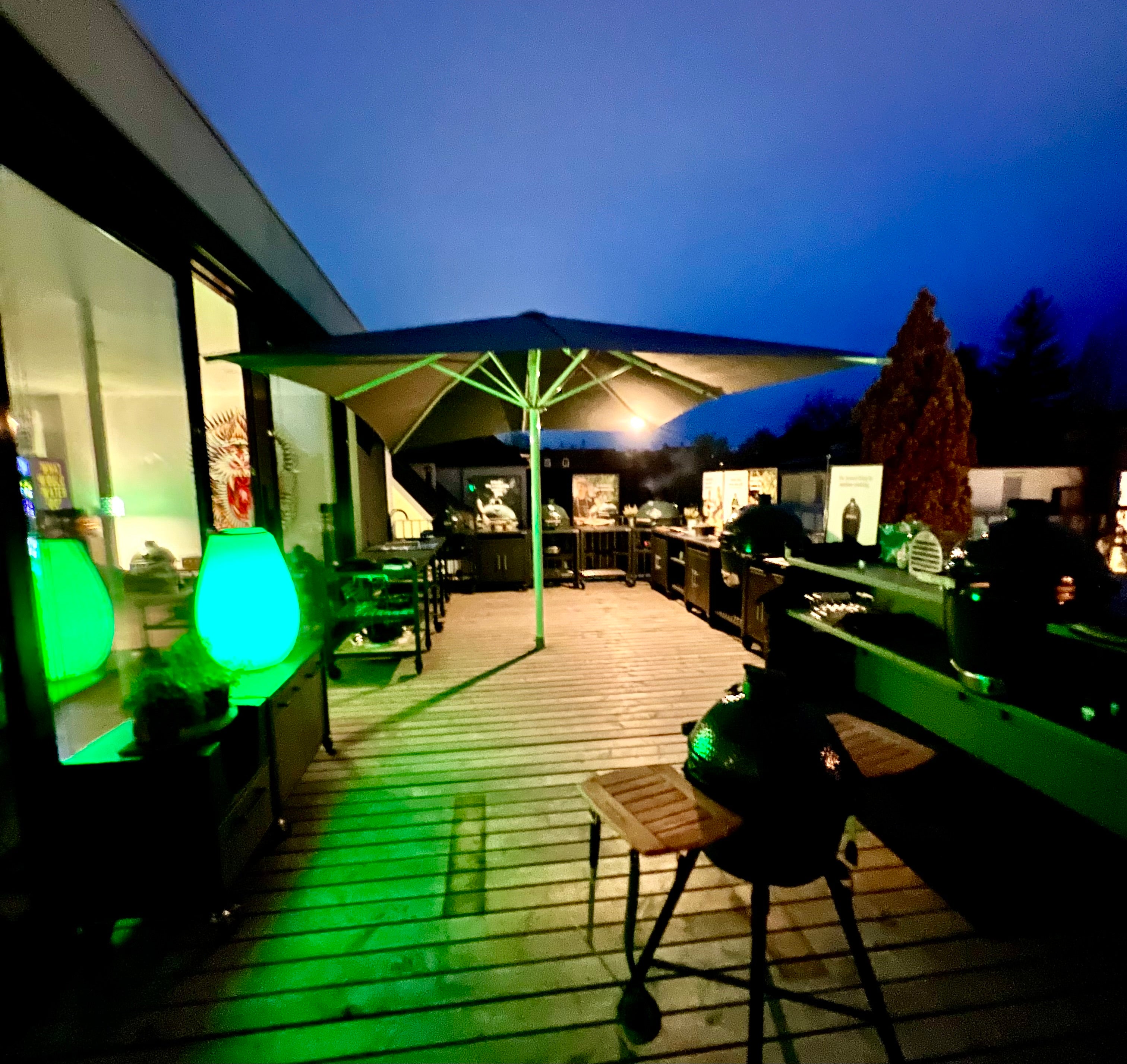 The New EGGsperience