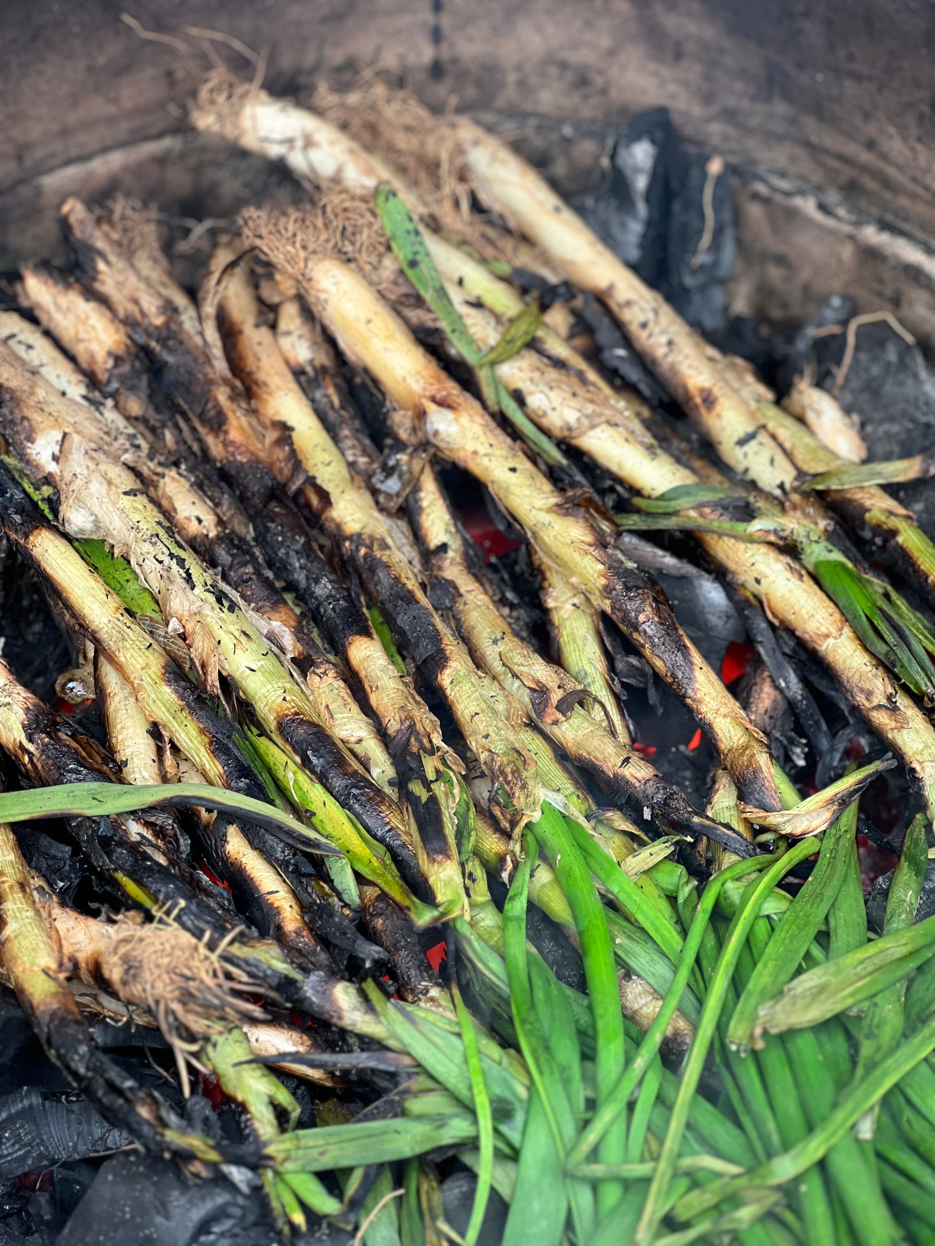 The New EGGsperience