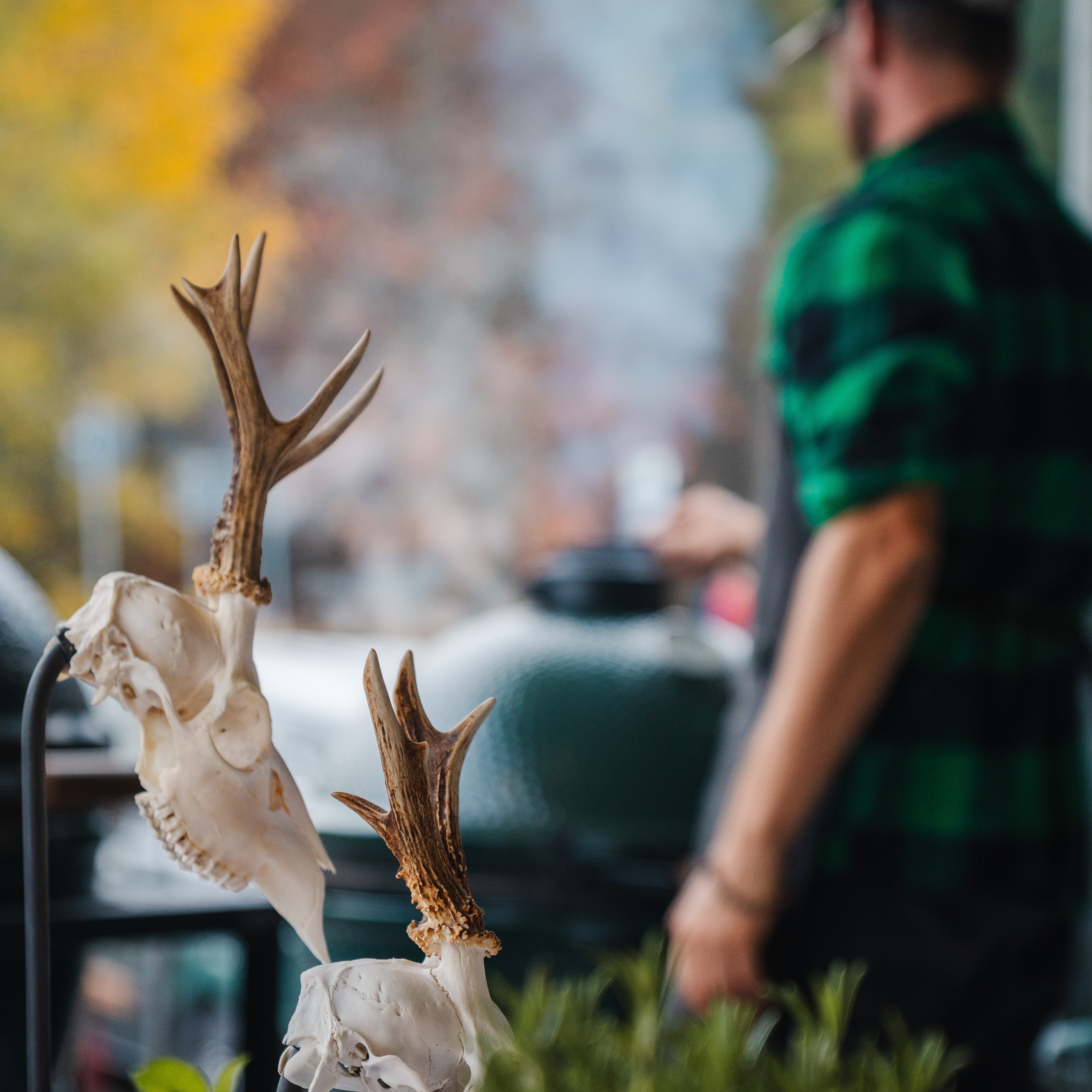 Wild grillen, wie die Profis