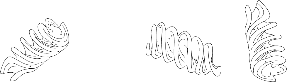 Pasta Massi Fusilloni Rigati all’Albume N°19